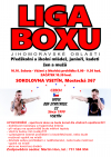 Liga boxu Jihomoravské oblasti - Vsetín 10.10.2020