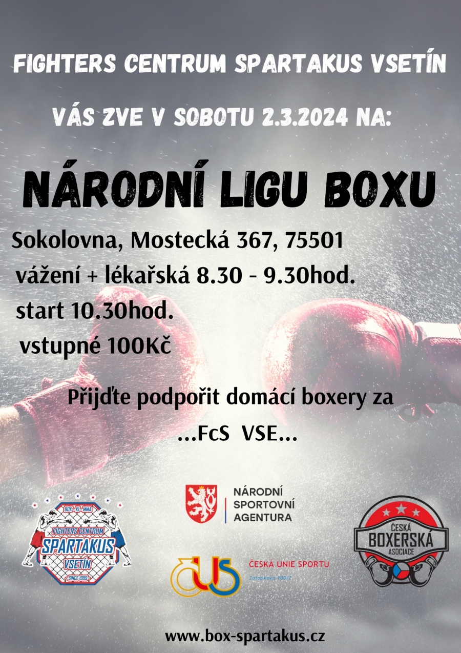 Národní liga boxu - Vsetín - 2.3.2024