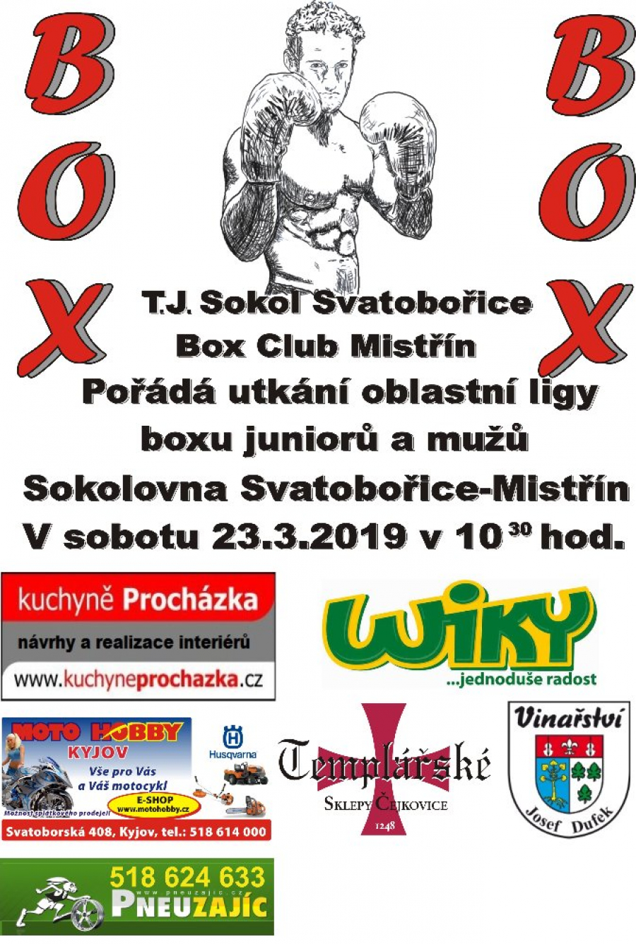 Oblastní liga boxu JMO - Mistřín 23.3.2019